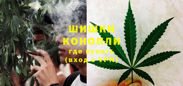 мдпв Богданович