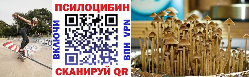 Купить где  Красноармейск  Галлюциногенные грибы Psilocybe 